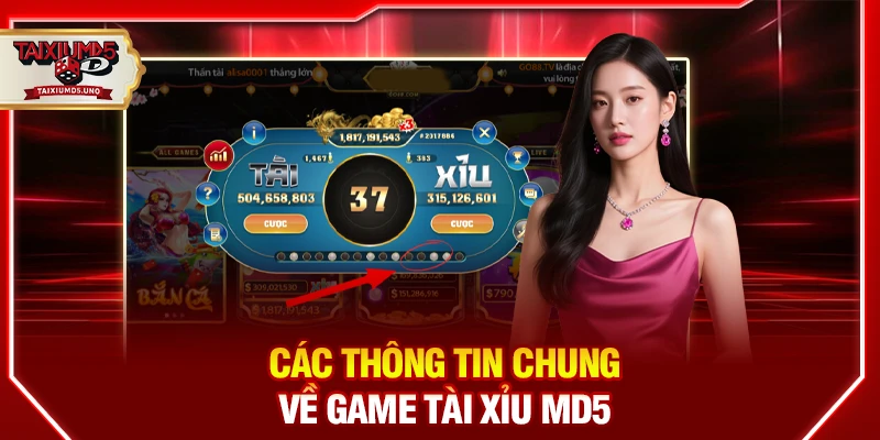 Các thông tin chung về game tài xỉu MD5