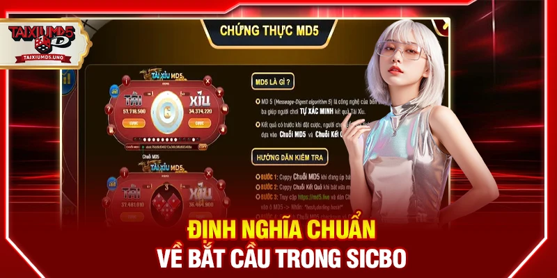 Định nghĩa chuẩn về bắt cầu trong Sicbo