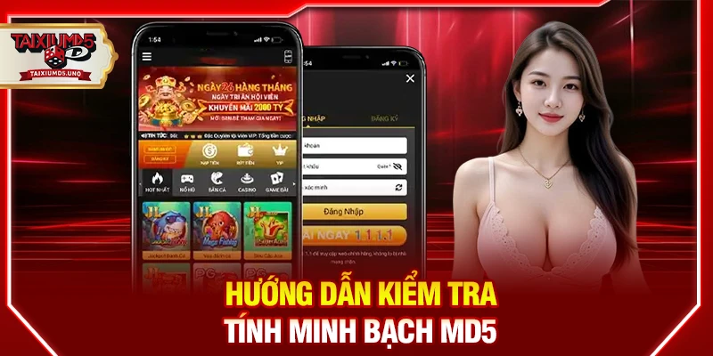 Hướng dẫn kiểm tra tính minh bạch MD5