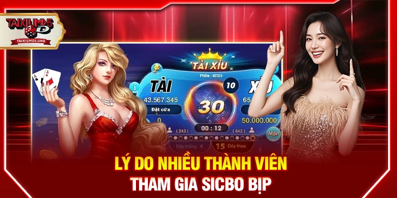 Lý do nhiều thành viên tham gia Sicbo bịp