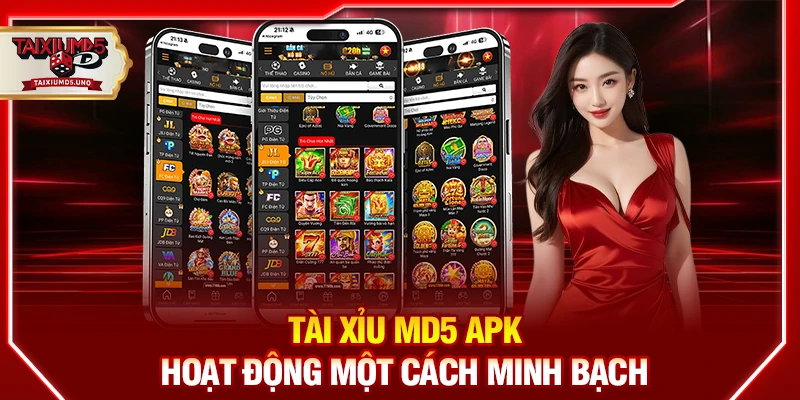 Tài xỉu MD5 APK hoạt động một cách minh bạch