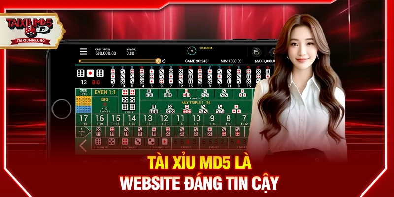 Tài xỉu MD5 là website đáng tin cậy